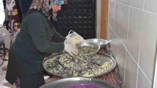 Festivalde 1 ton hamsi pişti, 7'den 70'e yüzler güldü