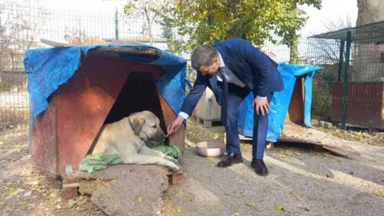 Gazi Üniversitesi Rektörü Yıldız, Gazi'nin Patileri'ni besledi
