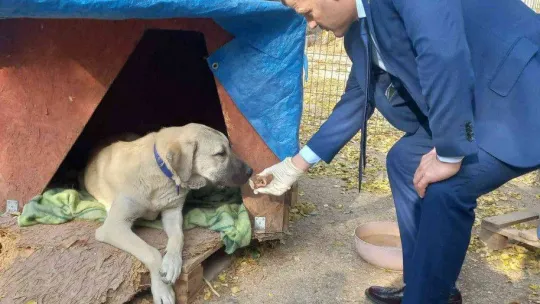 Gazi Üniversitesi Rektörü Yıldız, Gazi'nin Patileri'ni besledi