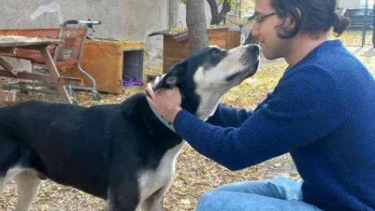 Gazi Üniversitesi Rektörü Yıldız, Gazi'nin Patileri'ni besledi