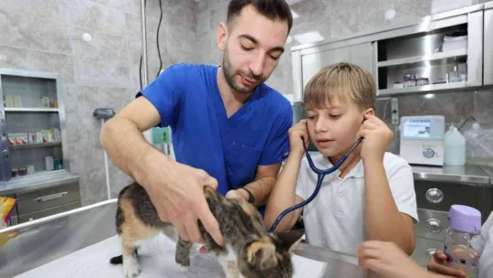 Gebze Belediyesi'nin 2022 yılı raporu