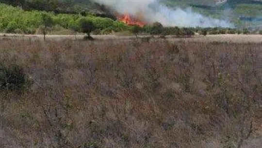 Gelibolu'da orman yangını