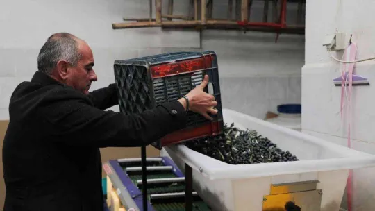 Gemlik Belediyesi'nden bilimsel tarım hamlesi