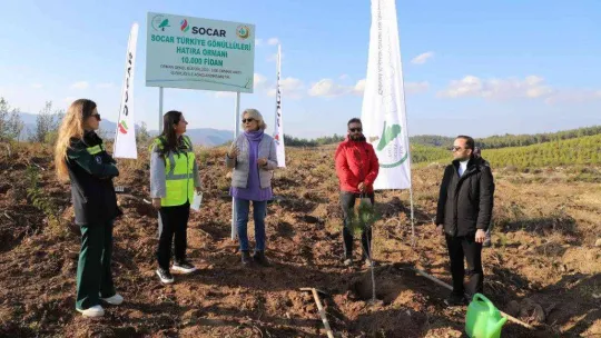 Geri dönüştürülen kağıtlardan 10 bin fidanlık orman oluşturuldu