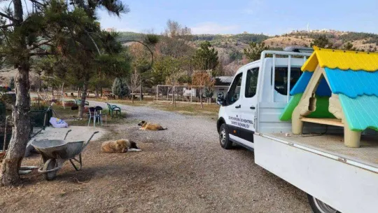 Geri dönüşüm atölyelerinde üretilen köpek kulübeleri kullanılmaya başlandı