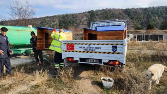 Geri dönüşüm atölyelerinde üretilen köpek kulübeleri kullanılmaya başlandı