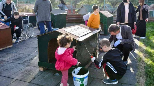 Geri dönüşüm malzemeleri sokak hayvanlarına yuva oldu