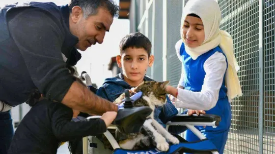 Geri dönüşüm malzemeleri sokak hayvanlarına yuva oldu