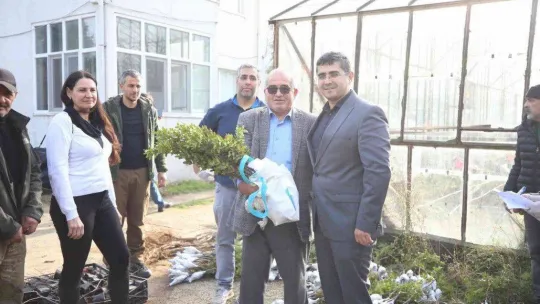 Gökçeada'da 6 bin 410 aşılı fidan toprakla buluşturulmak üzere üreticilere dağıtıldı
