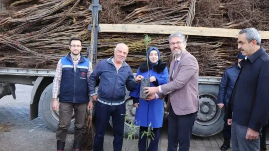Gölpazarı'nda 13 bin 800 fidan toprakla buluşuyor