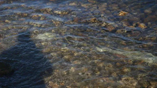 Gölyaka'da tarihi sütun bulundu, müze müdürlüğü inceleme başlattı