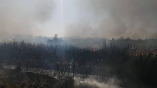 Gönen Bakırlı kırsal mahallesinde yangın çıktı