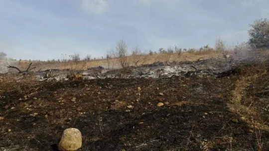 Gönen Havutça kırsal mahallesinde yangın çıktı