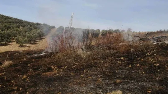 Gönen Havutça kırsal mahallesinde yangın çıktı