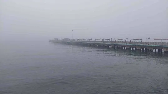 Göz gözü görmüyor: Sis şehri kapladı