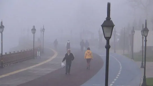 Göz gözü görmüyor: Sis şehri kapladı