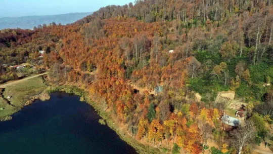 Göz kamaştıran görüntüler