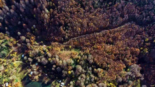 Göz kamaştıran görüntüler