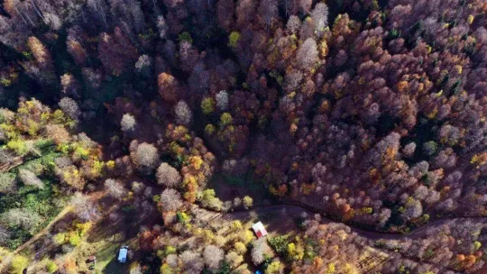 Göz kamaştıran görüntüler