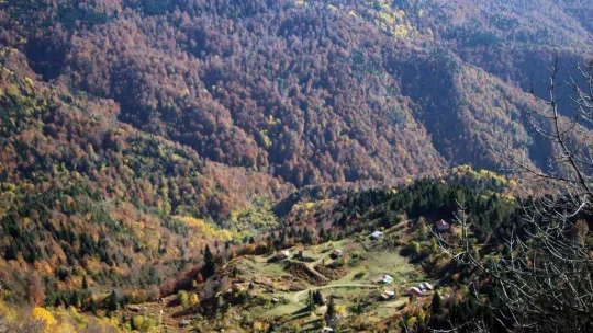 Göz kamaştıran görüntüler