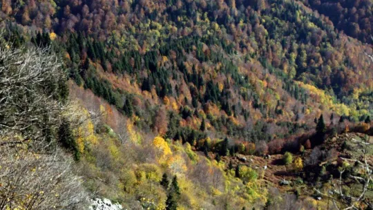 Göz kamaştıran görüntüler