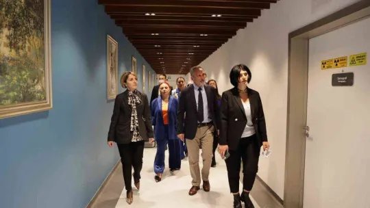 Gürcistan Acara Özerk Cumhuriyeti sağlık bakanından Türkiye'ye ziyaret