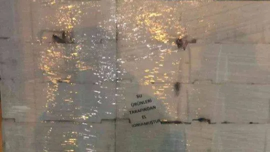 Gurpınar Su Ürünleri Hali'nde balık boyu denetimi