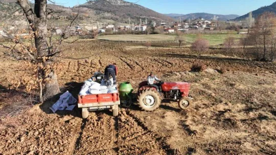 Gürsu Belediyesi buğday ekti