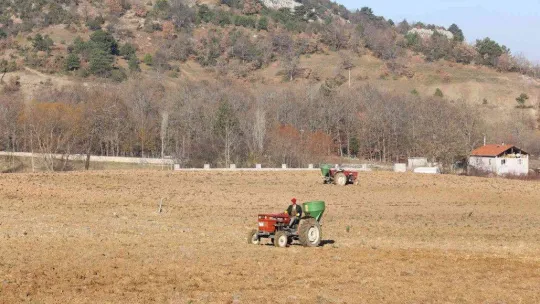 Gürsu Belediyesi buğday ekti
