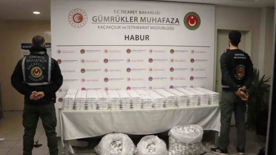 Habur'da milyonlarca lira değerinde kaçakçılık operasyonları
