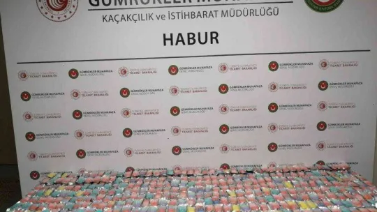 Habur Sınır Kapısı'nda 395 adet elektronik nargile ele geçirildi