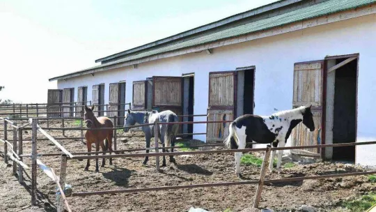 Hacıkadın Şehir Ormanı, Ankaralılarla buluşuyor