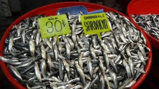 Hamsi balığı yağlandı, ızgaralık oldu