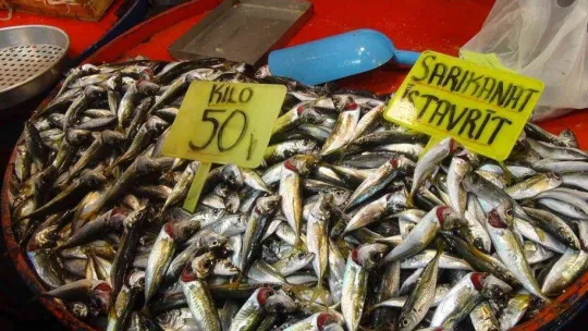 Hamsi balığı yağlandı, ızgaralık oldu