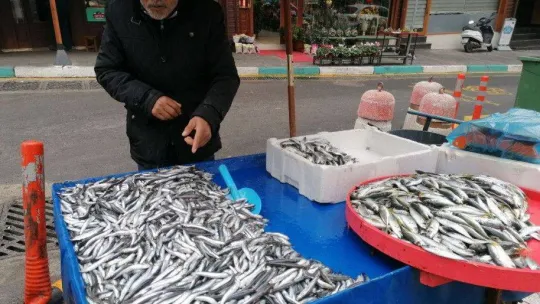 Hamside 2 farklı fiyat