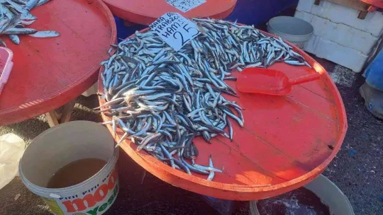 Hamsinin fiyatı düştü