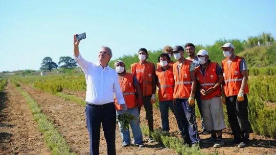 Hasadı yapılan biberiyelerin yüzde 90'ı yurt dışına ihraç edildi
