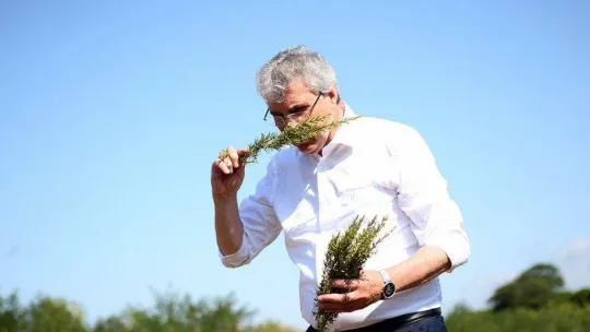 Hasadı yapılan biberiyelerin yüzde 90'ı yurt dışına ihraç edildi