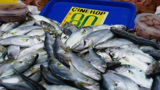 Hava soğudu, 'çinekop' bereketi yaşandı