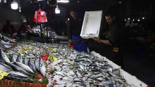 Hava soğudu, 'çinekop' bereketi yaşandı