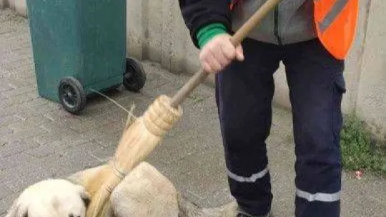 Hava soğuk ama görüntüler herkesin yüreğini ısıttı...