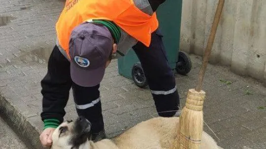 Hava soğuk ama görüntüler herkesin yüreğini ısıttı...