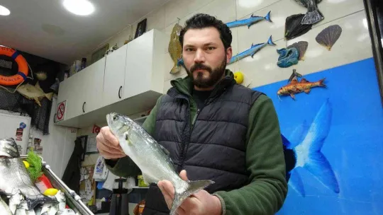 Havalar geç soğudu, az çıkan lüfer ve çinekopun fiyatı arttı