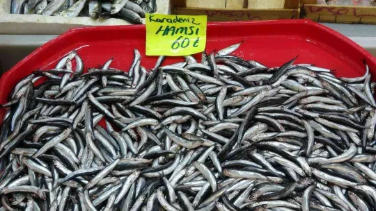 Havalar geç soğudu, az çıkan lüfer ve çinekopun fiyatı arttı