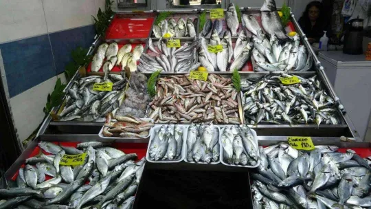 Havalar geç soğudu, az çıkan lüfer ve çinekopun fiyatı arttı