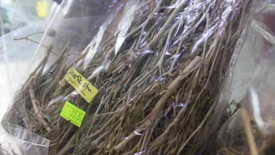 Havalar soğudu, vatandaşlar aktarların yolunu tuttu