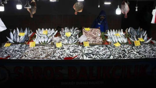 Havaların soğumasıyla birlikte balığa ilgi arttı