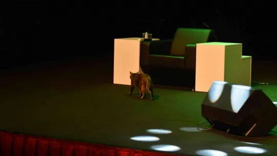 Hayati İnanç Balıkesirli gençlerle bir araya geldi