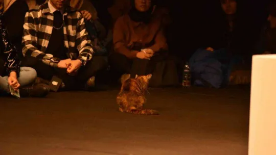 Hayati İnanç Balıkesirli gençlerle bir araya geldi