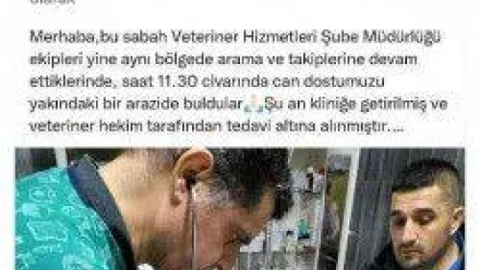 Hayvansever uyardı, Büyükşehir kurtardı